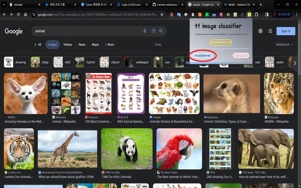 tf image classifier 크롬익스텐션